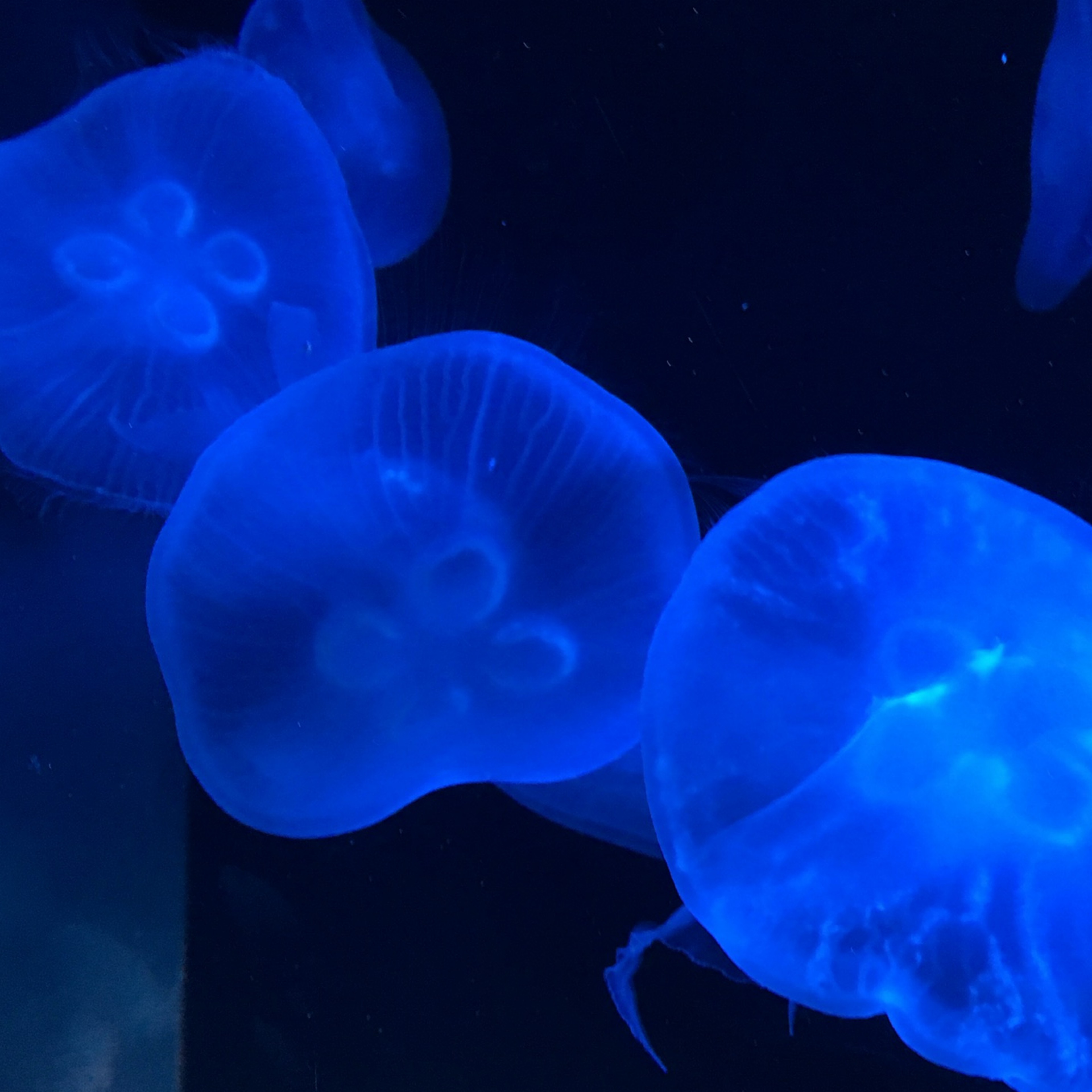 ðªŒð«§ãŸãã