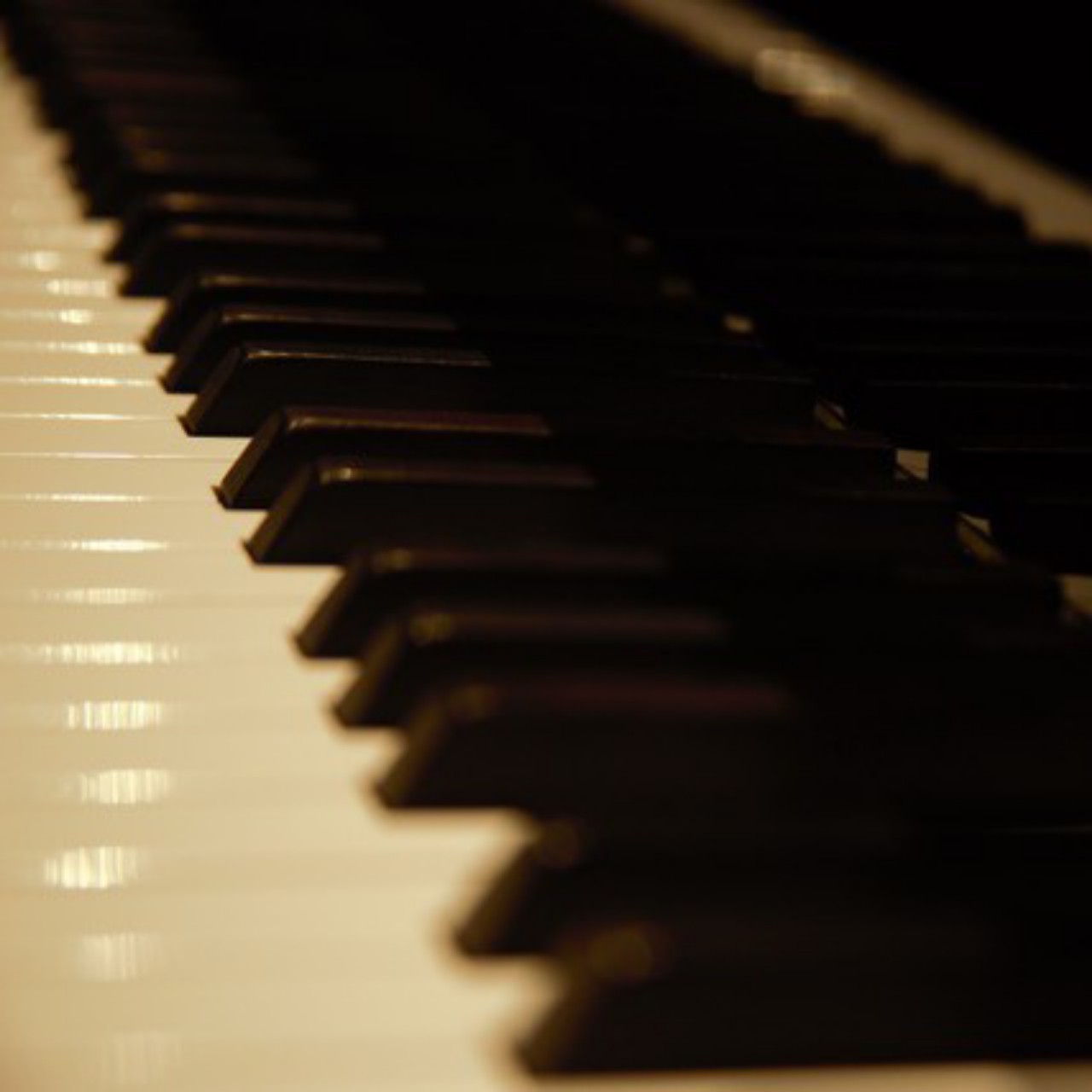 🍀PIANIST∞秦野萌🦚