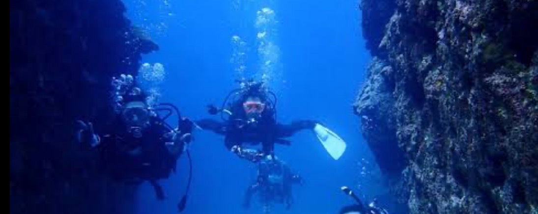 🤿⚜️𝓓𝓘𝓥𝓔𝓡⚜️