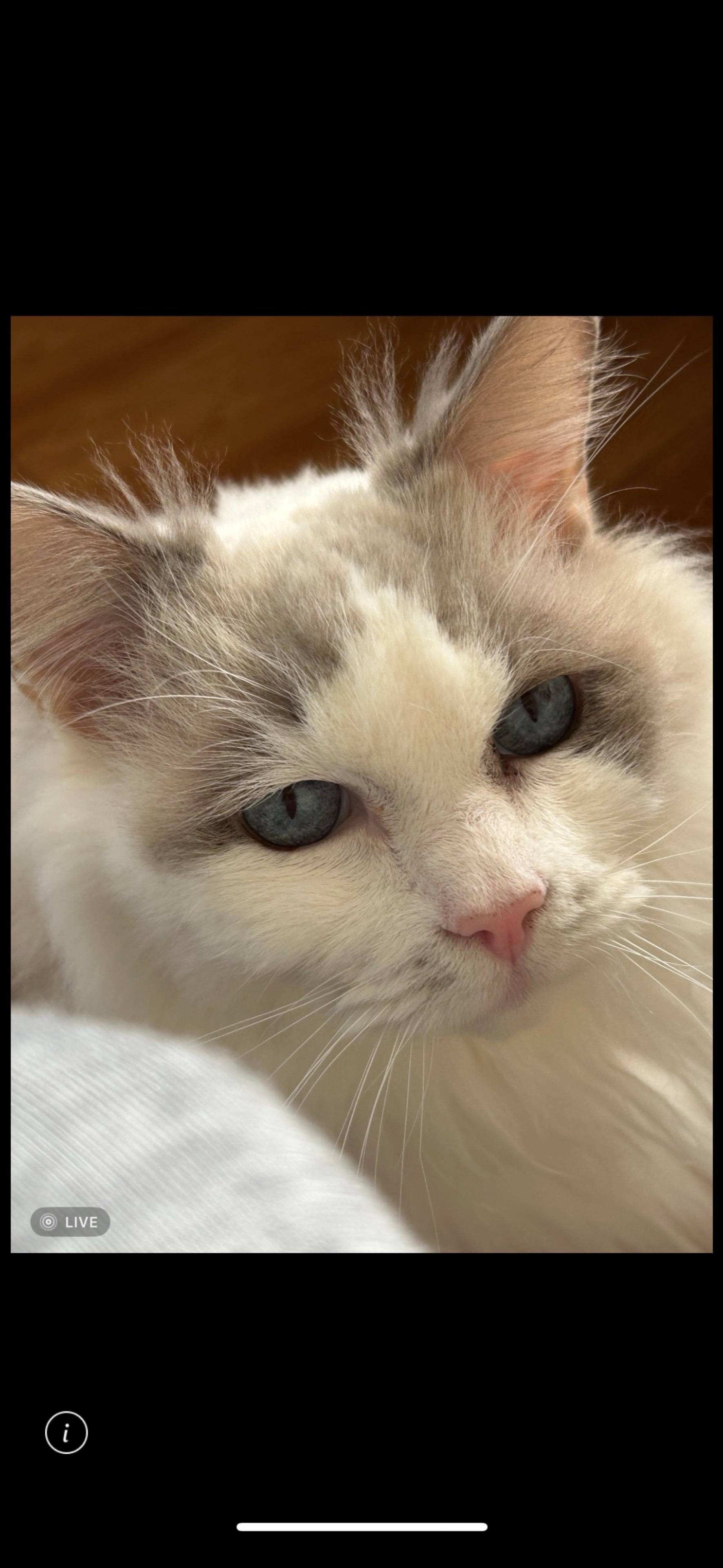 ð€âÍ*Íðð¥ððð€å
茩