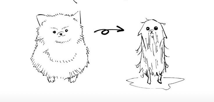 アスパラ（7歳）