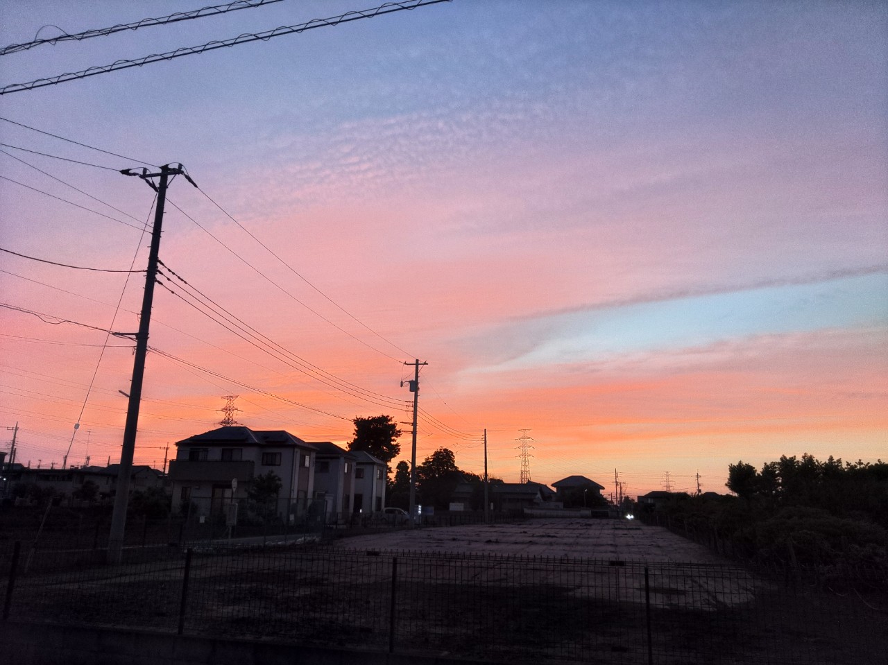 クロ- ̗̀ 🐸 ̖́-