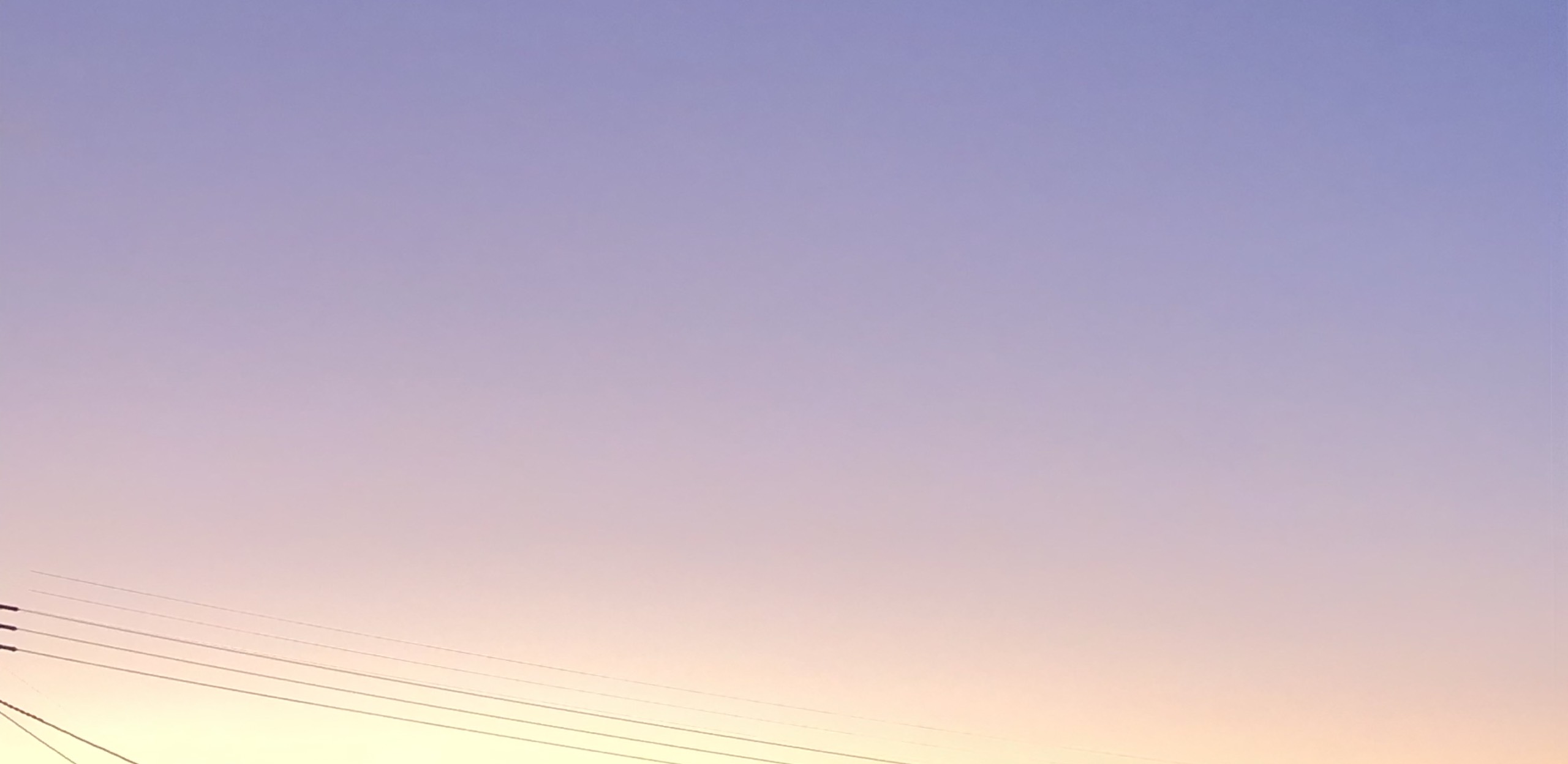 主桜💫🎧(旧恋翼美梨)