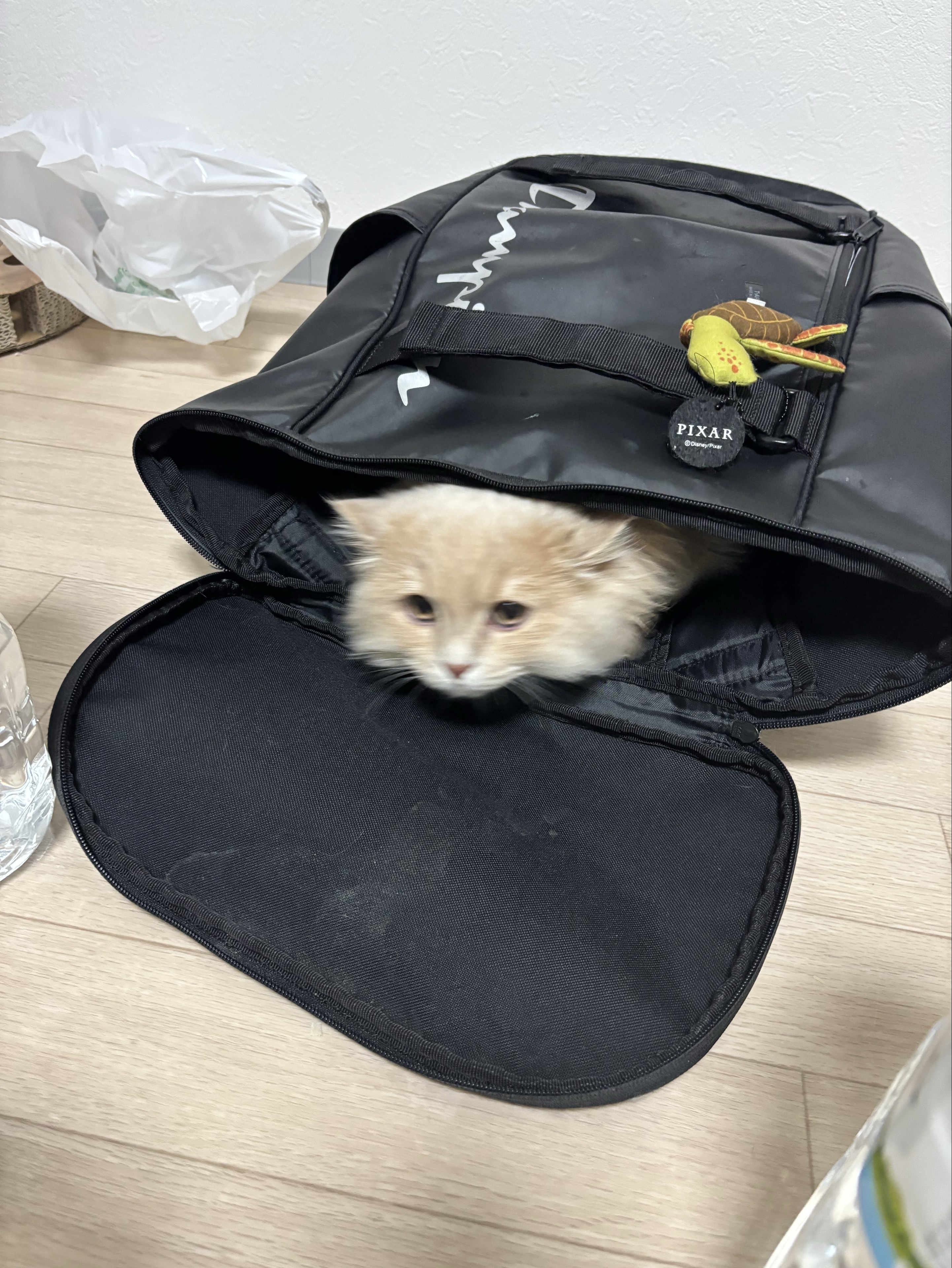 めあちゃん