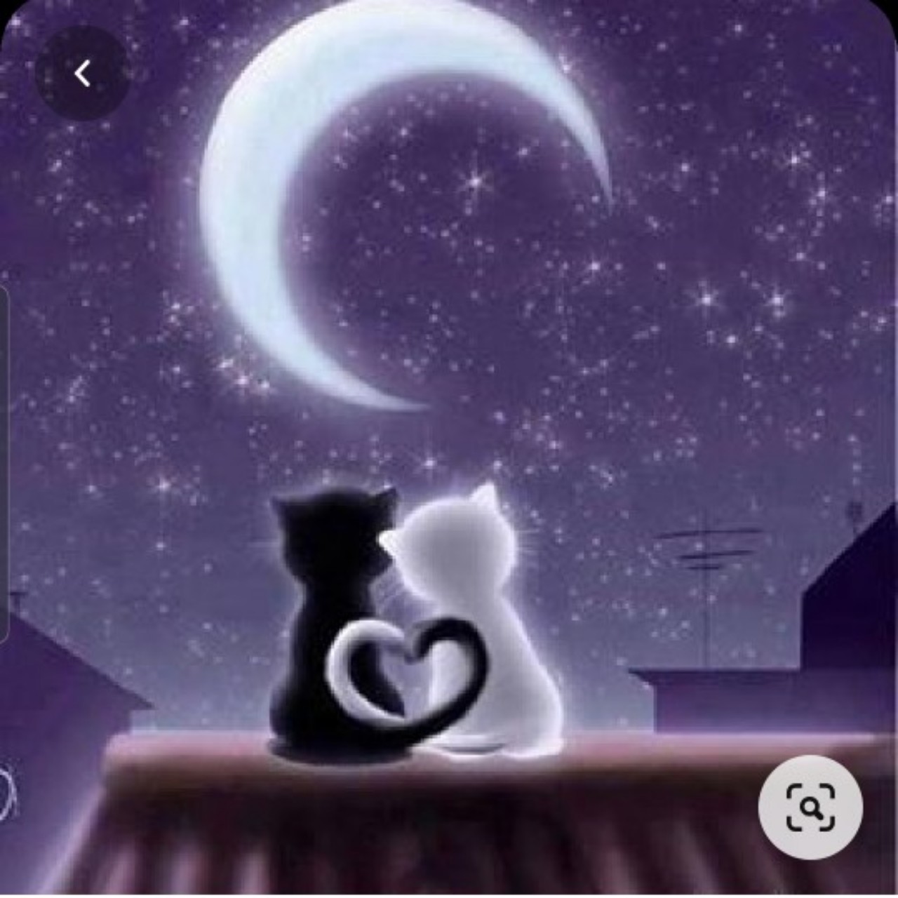 弓月☁︎︎*.໒꒱ ¨̮