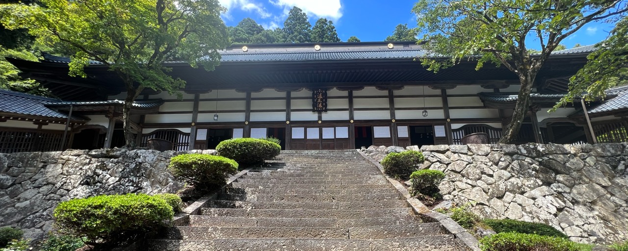 poyo⇣ ͛.* 🐈‍⬛  ͛.*⇡