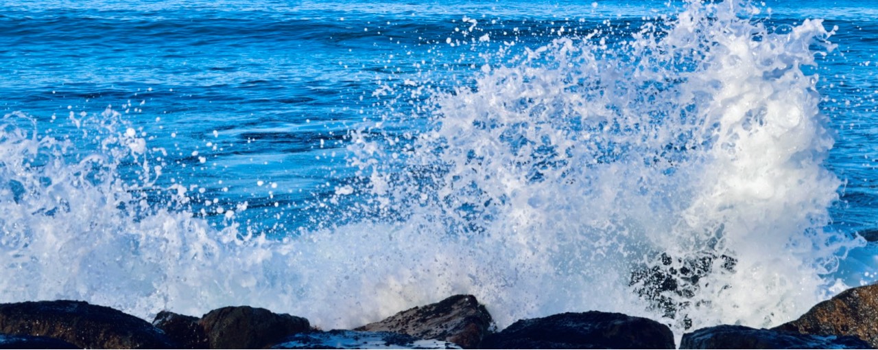 😊りんりん《*ﾟωﾟ*》