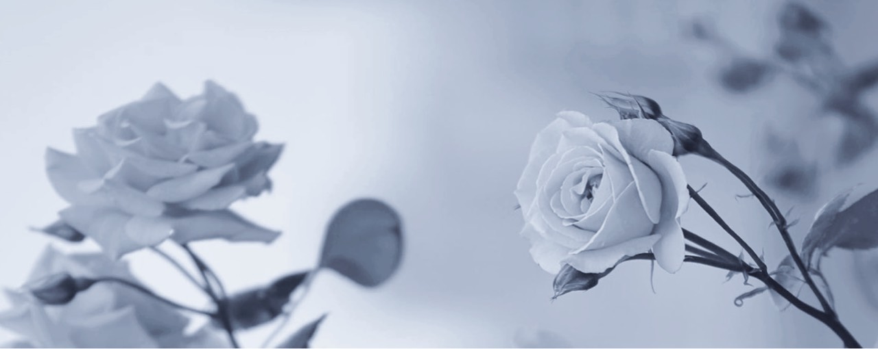 ᶝ❍ ࣪ かるむ