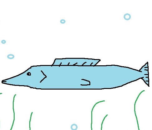 レム