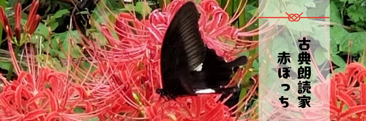 赤ぼっち@日本語と戯れるぼっち