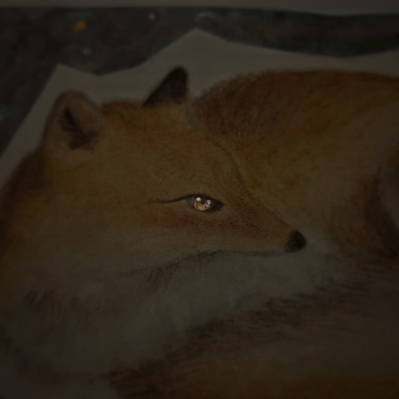 真緒⸜‪𓆝⸝‍