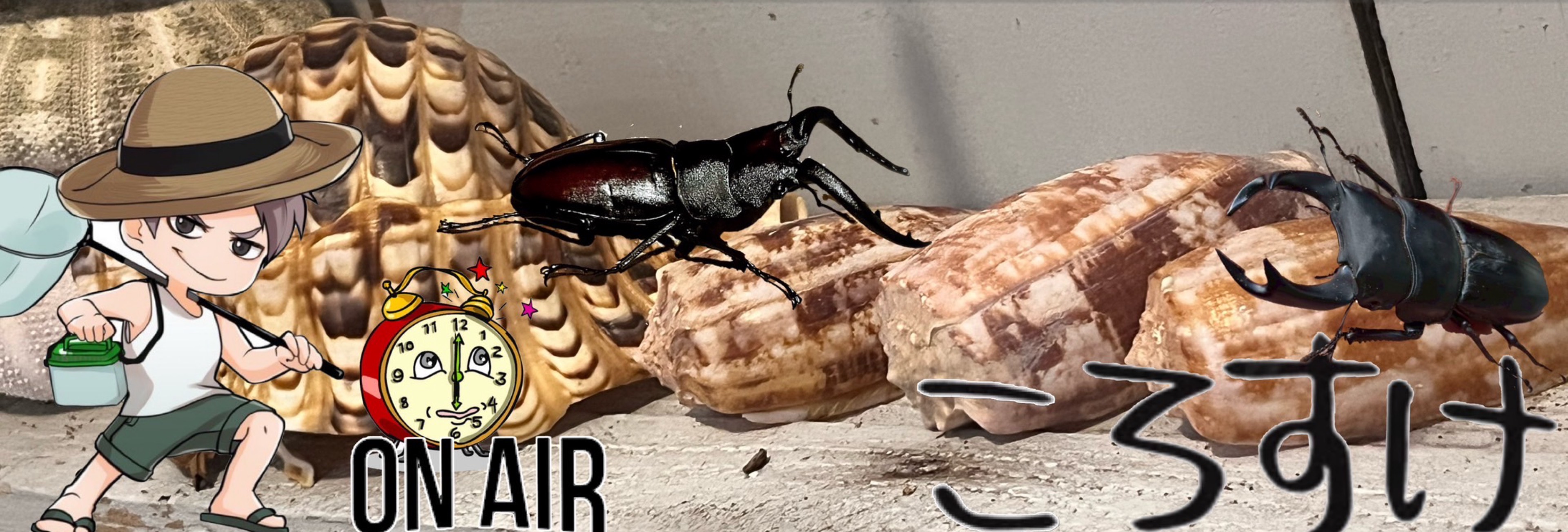 ðŒð£ããããð£ð