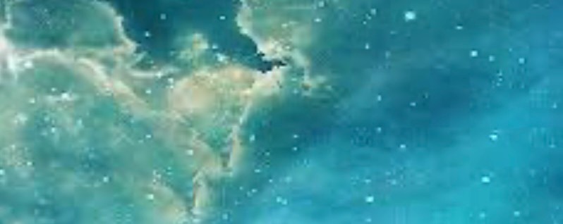 ✽໒みるふぃ🍳