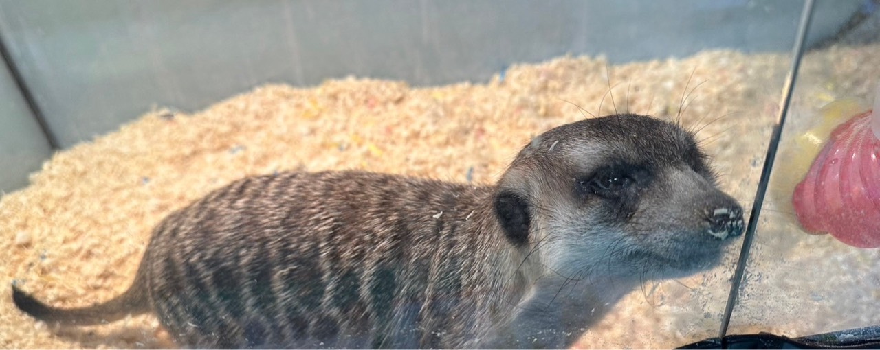 ⚽️ナガティモ ⑯