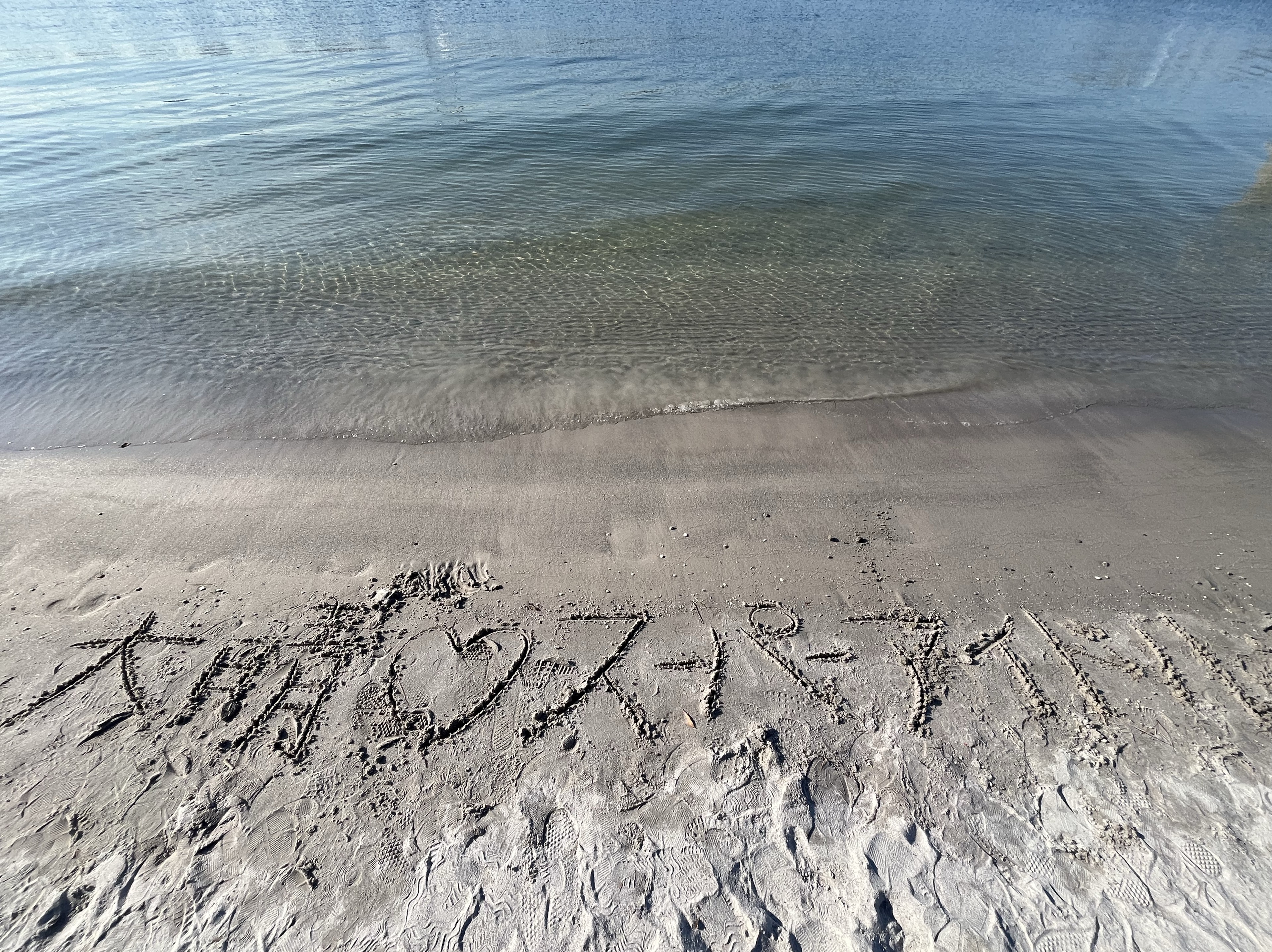 現役アイドル🍓とら