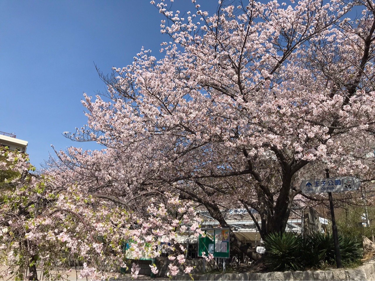 大河