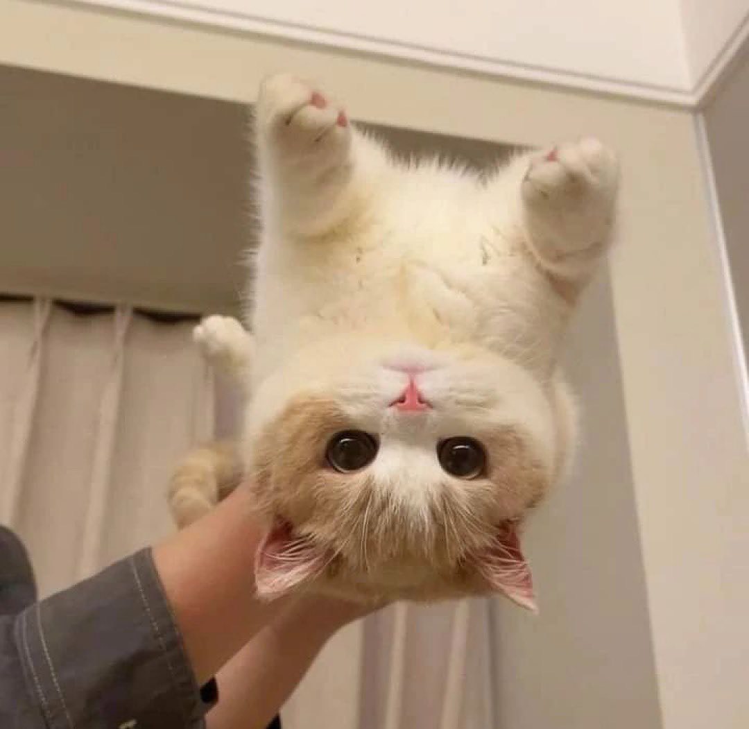 でるた△