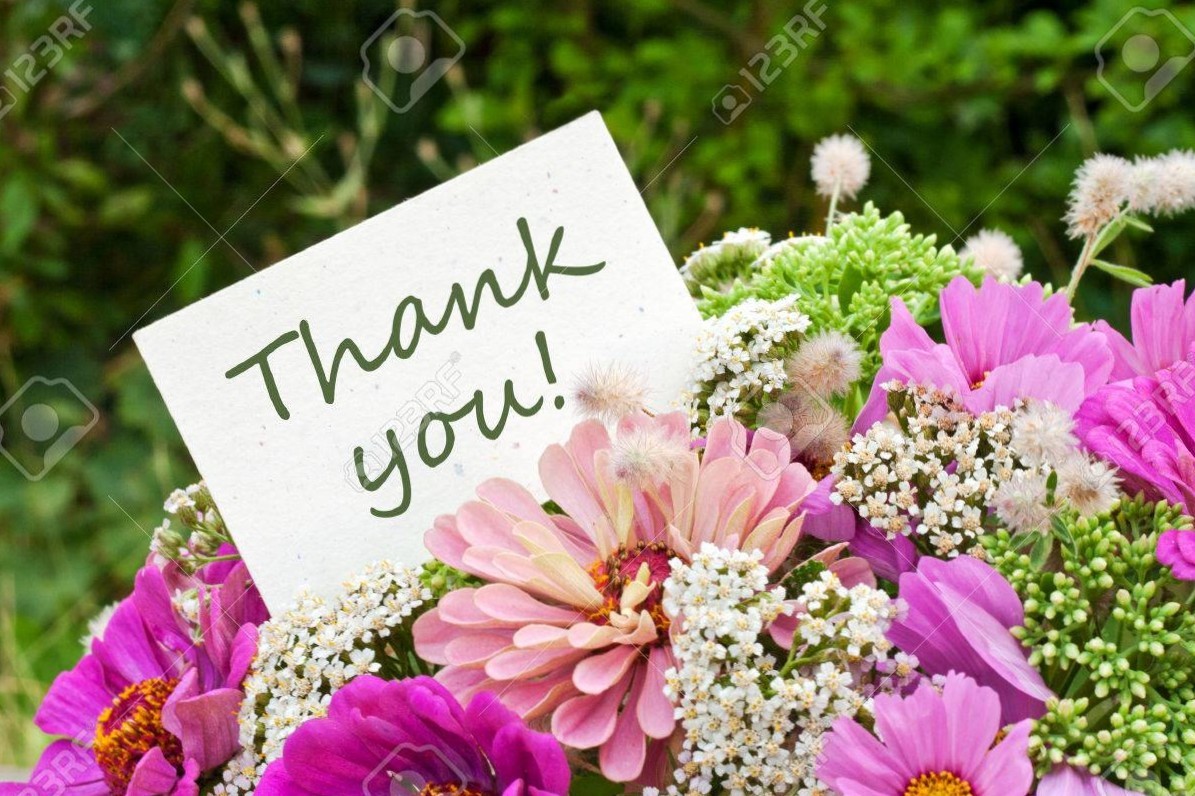 🌸しほ ᰔᩚ𝓎❦ ✩⃝.*˚