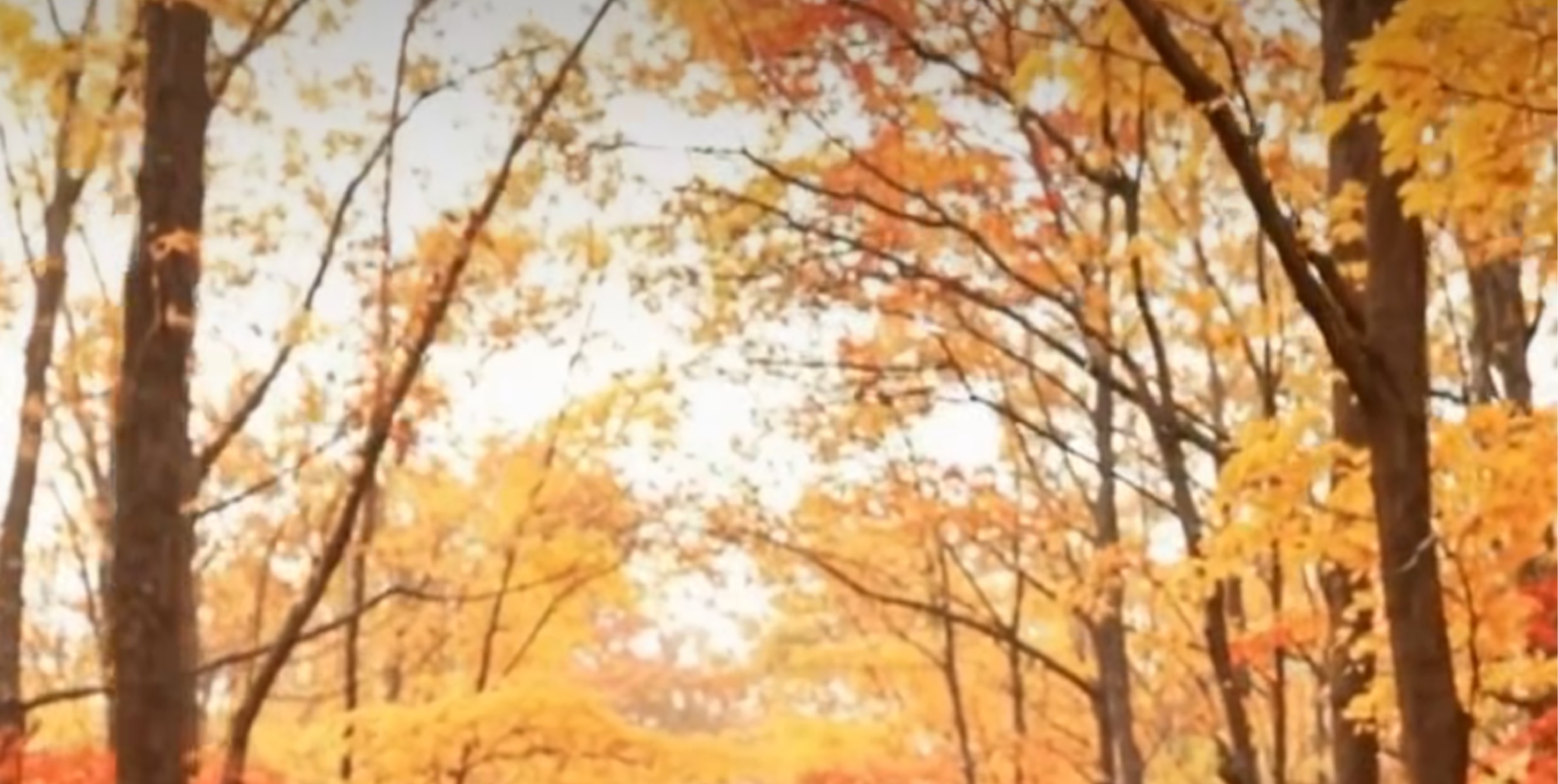 .°ஐにのᒼᑋªⁿ✿