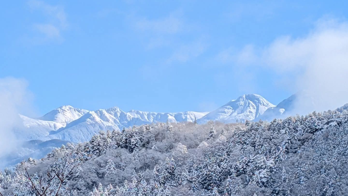 沙眩月姫🌕sakurazuki☀︎❀