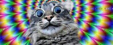 ð§ããããã¿ãŒð§