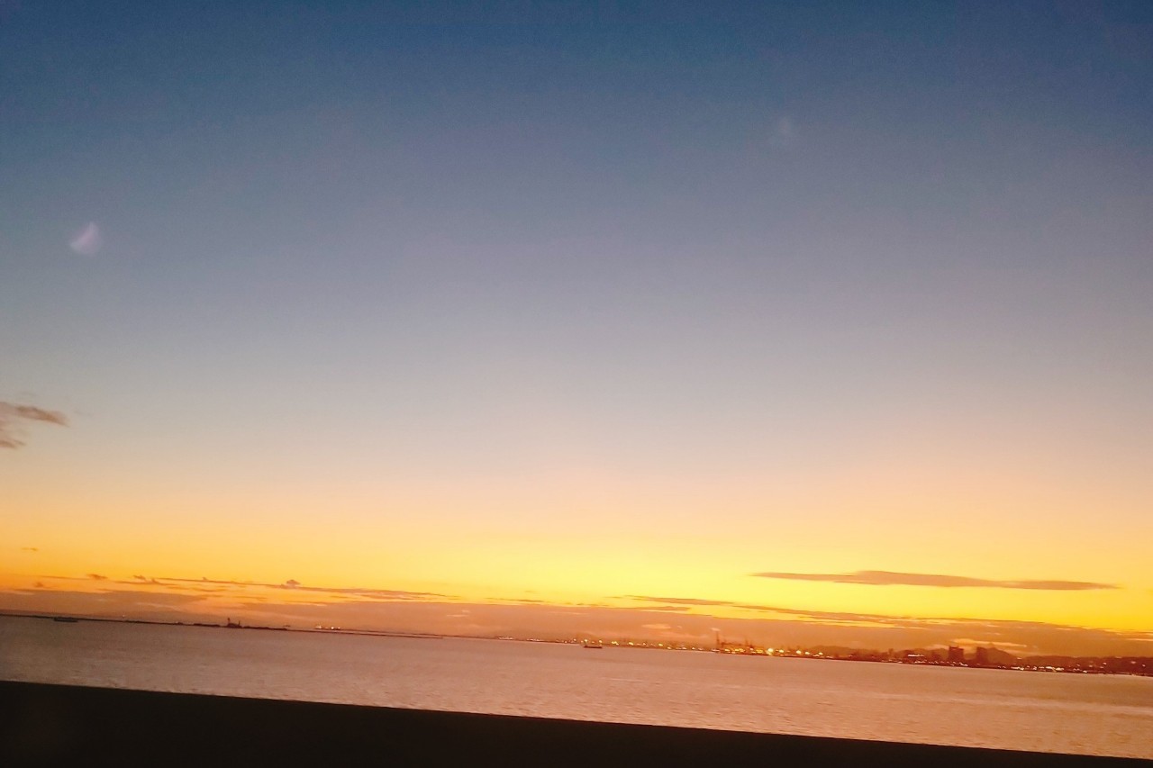 🌊かいじゅ🌊