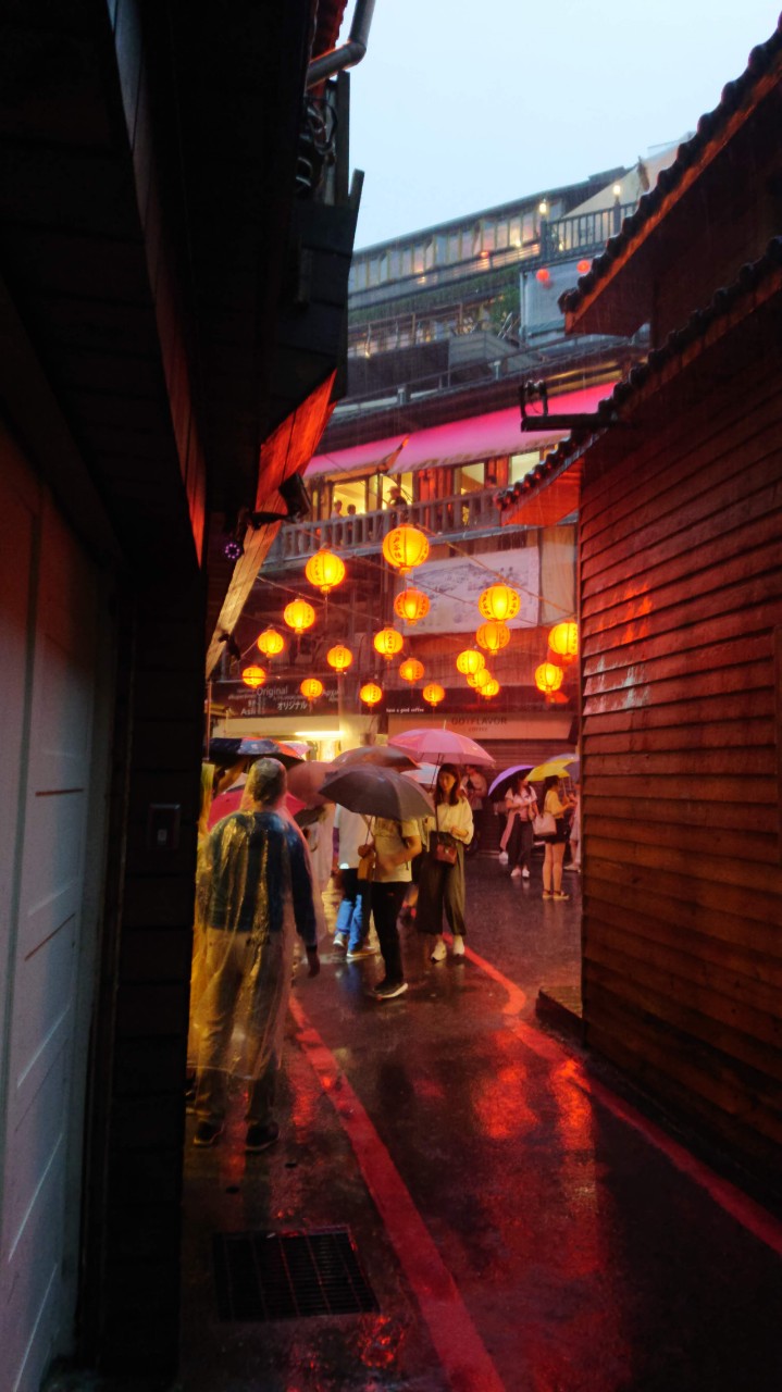 この梟は起こすなよ！(=∼=)