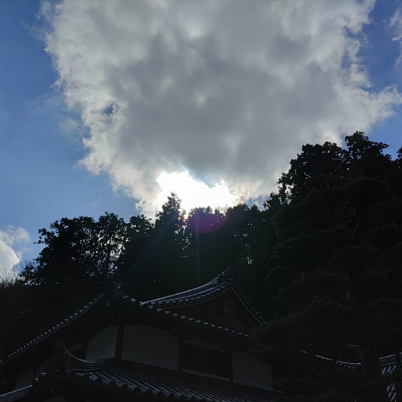 ☀城月 美俐羅🏰☽･:*