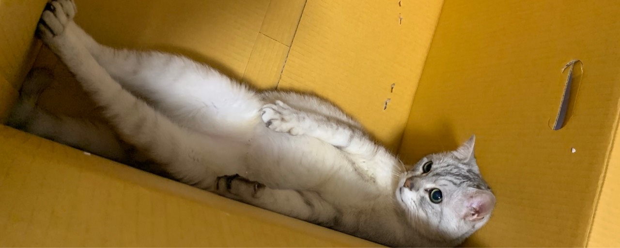 ❁¨̮かぷ⚡️🎙