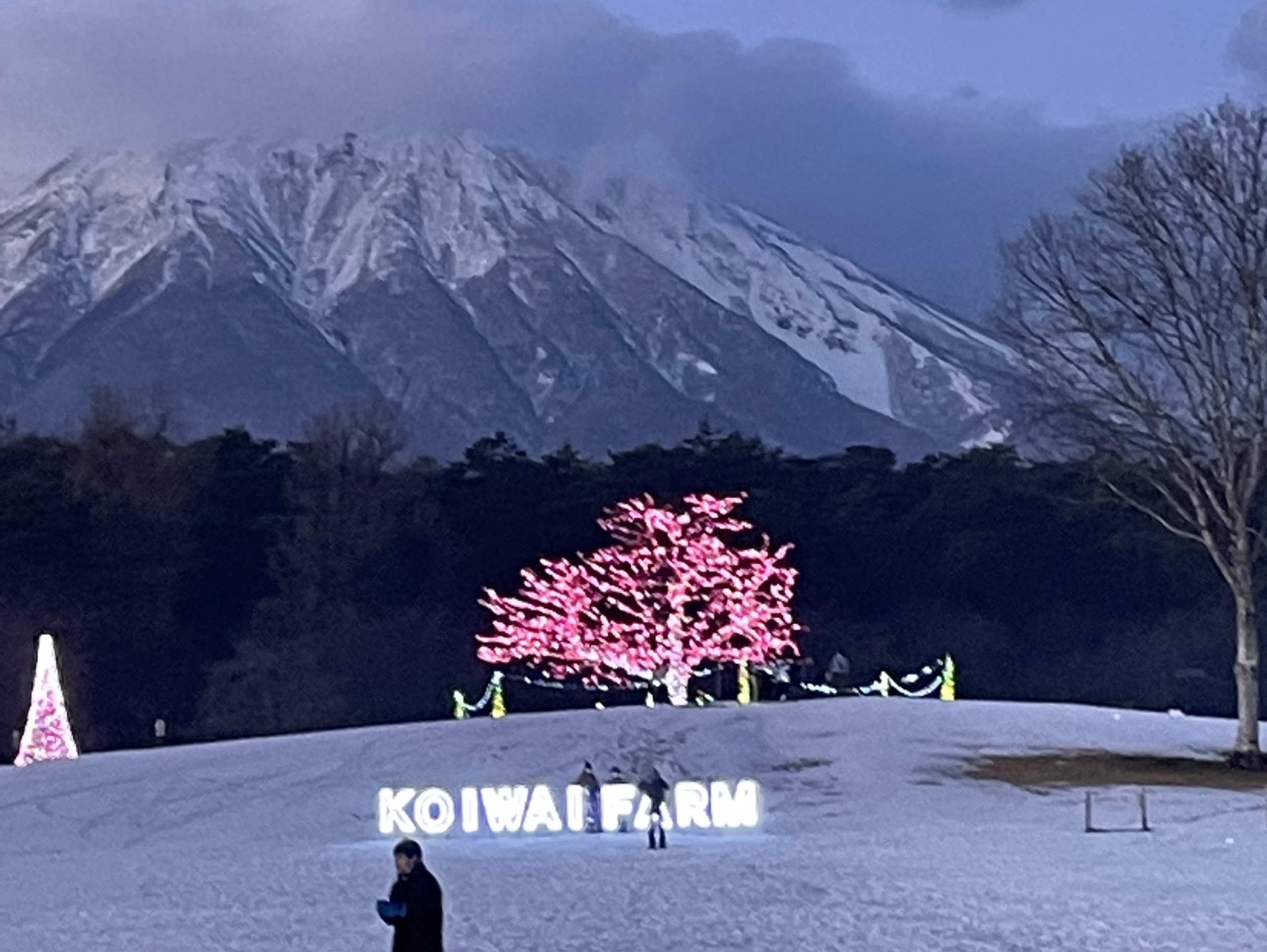 フジハラ 🏴