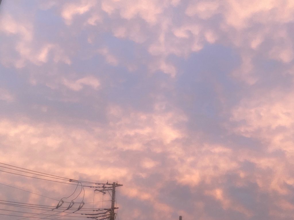 豆腐めんたる。