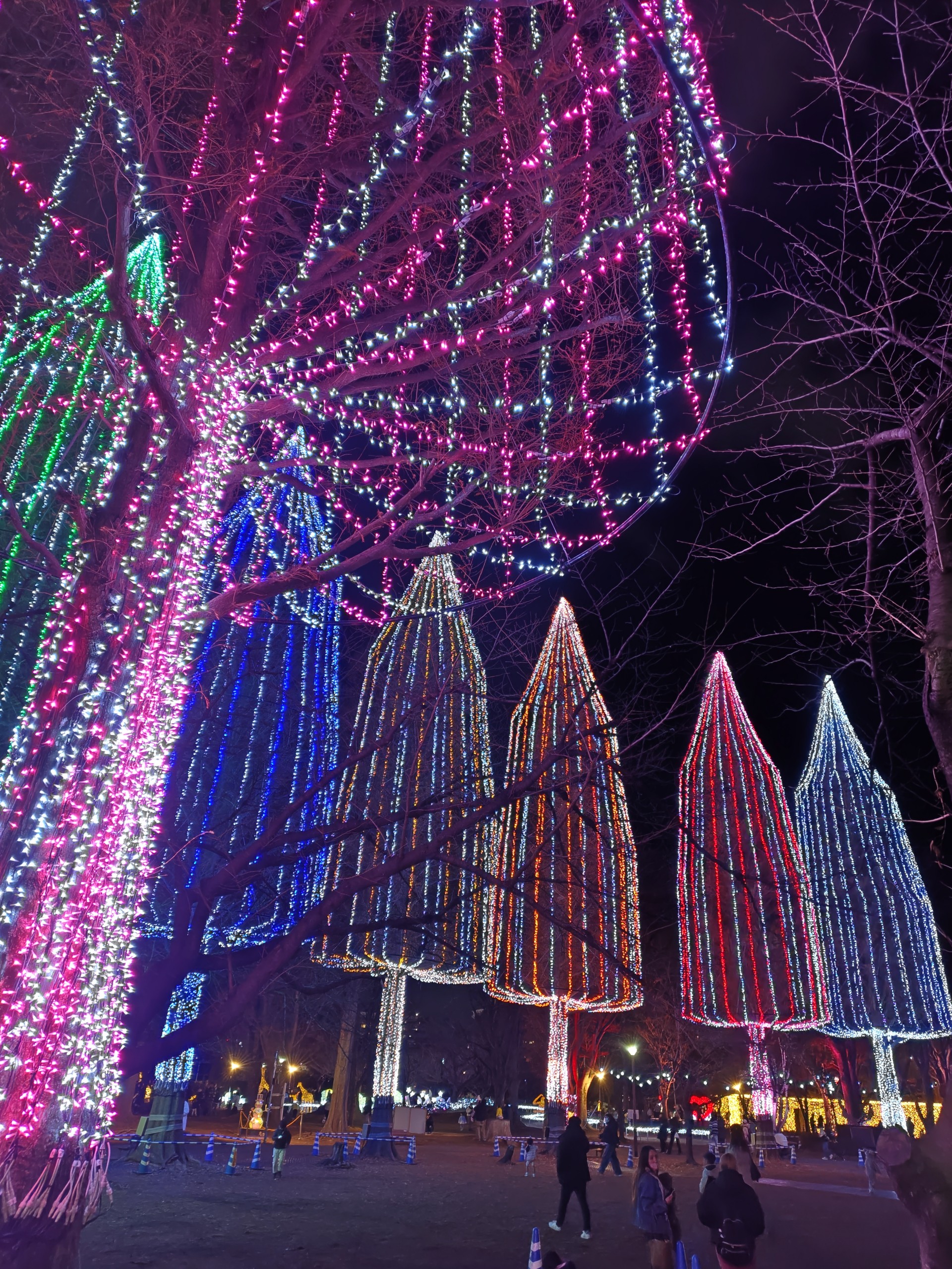 都会のレオ🦁✦.*˚🗼