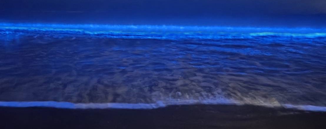 ∞8まあちゃん♂