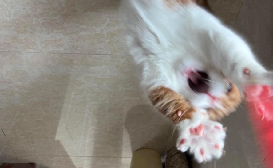水