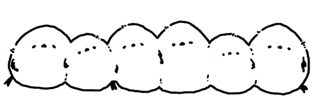 ðâðŽ â€â e-nu