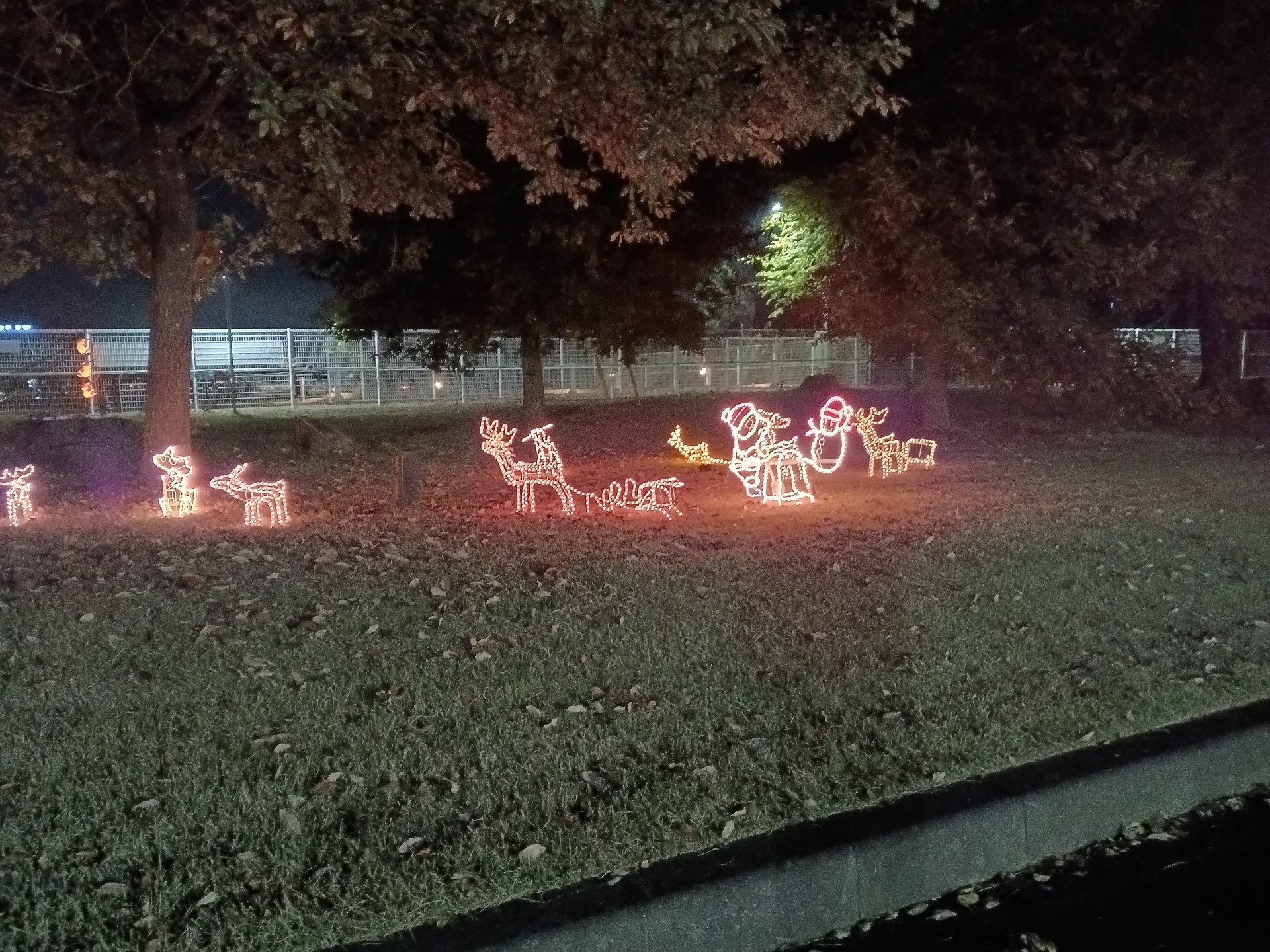 🖤⛄ブラックスノー💫✨