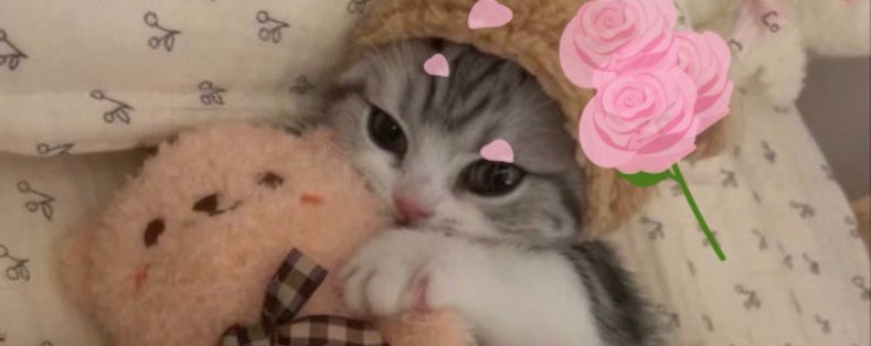 えいちゃん