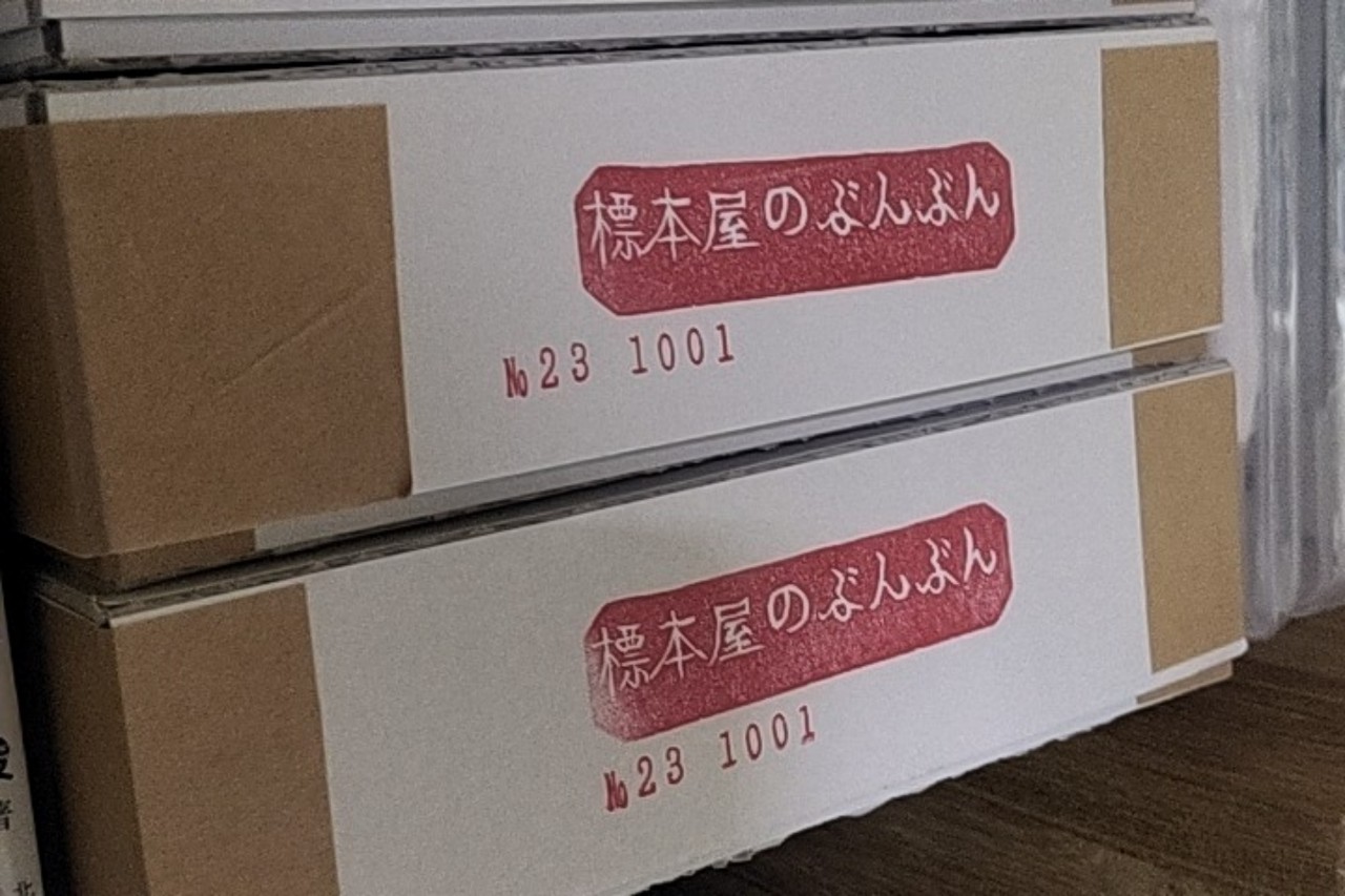 🪲かなぶん