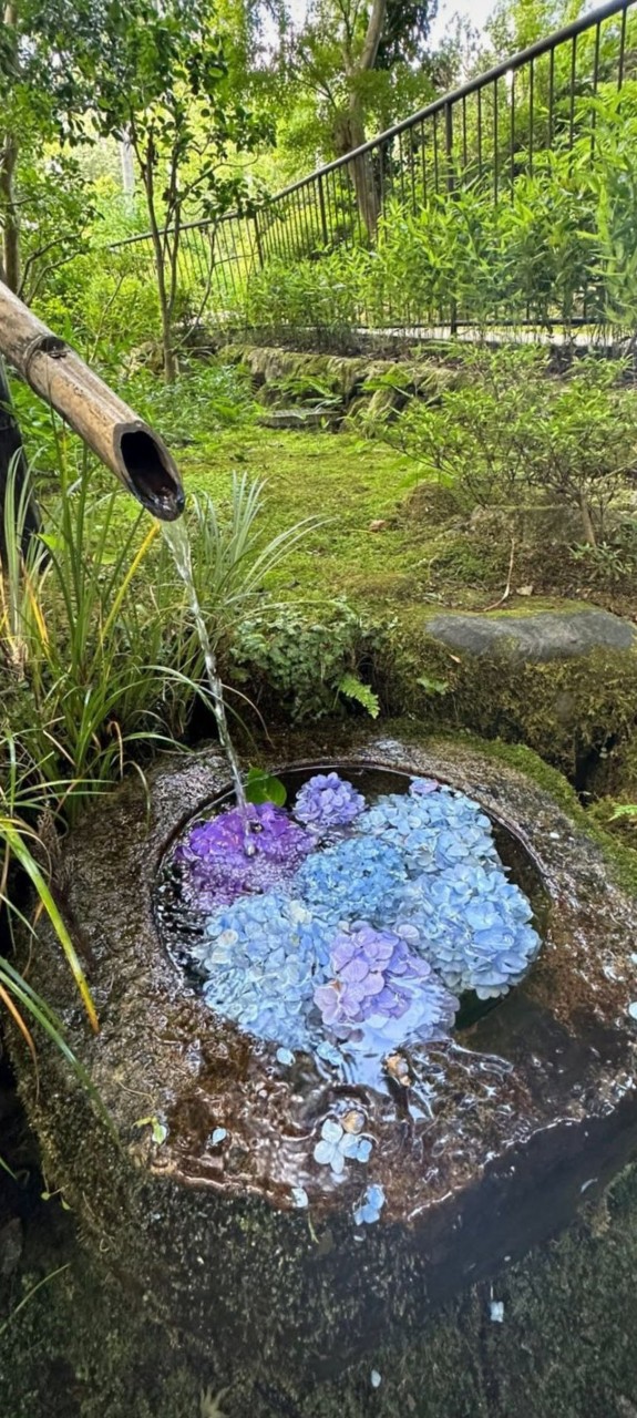 𝙼𝙸𝚈𝚄 ꕤ𓂂◌