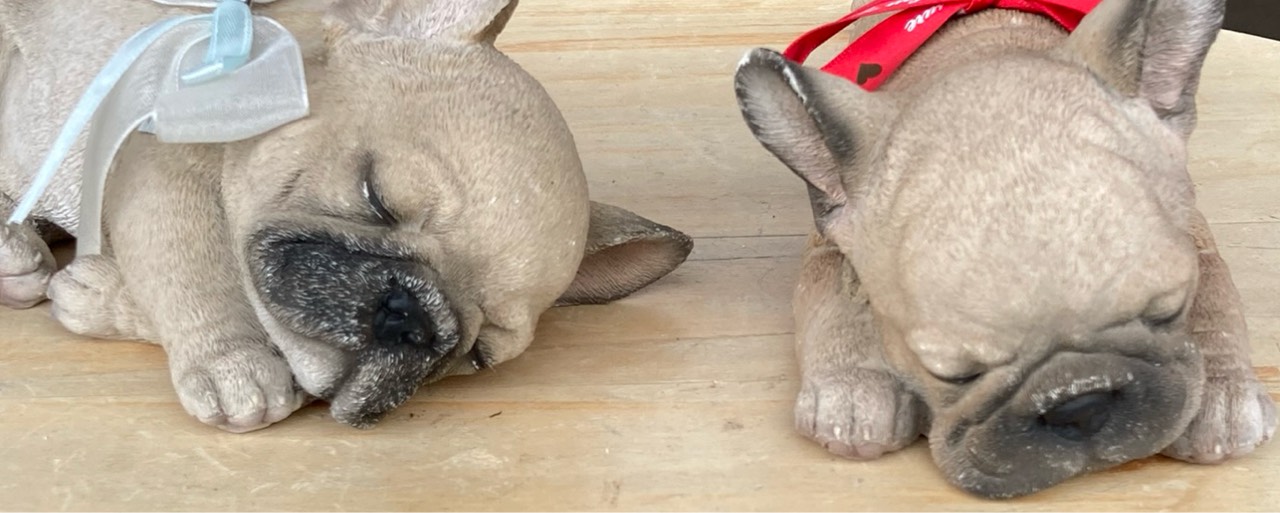 よっこらせ🅰️🔂