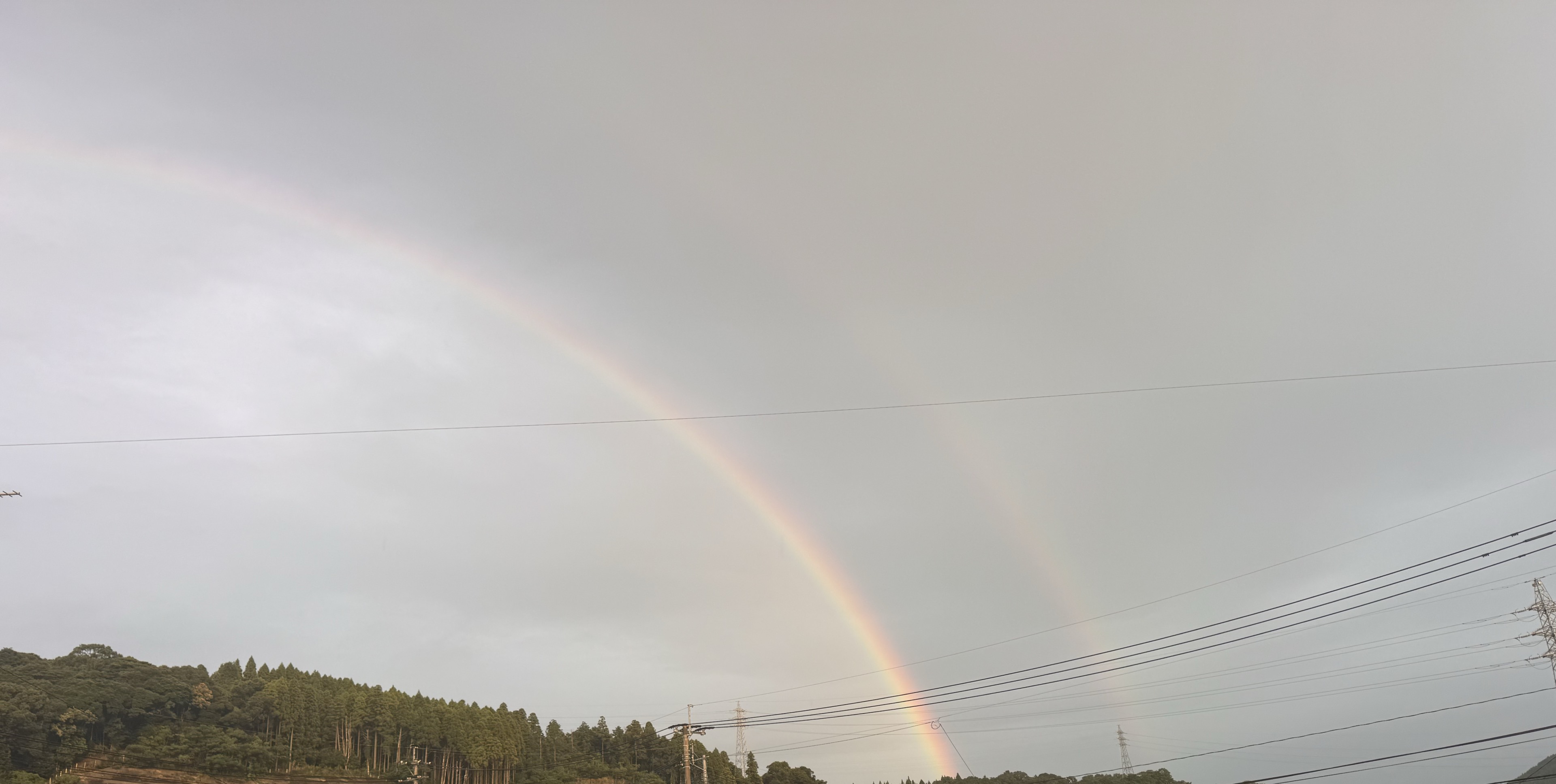 ðŒâïžã³ãŒã¹ã±ã