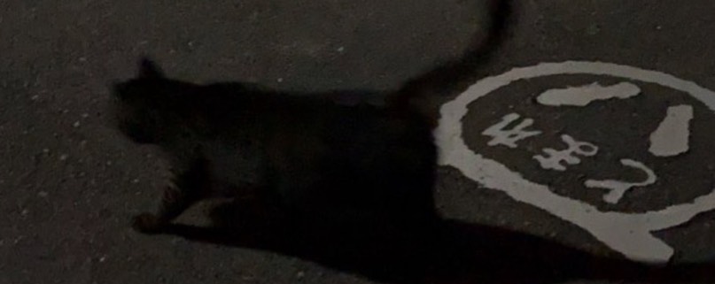 ぅぃ