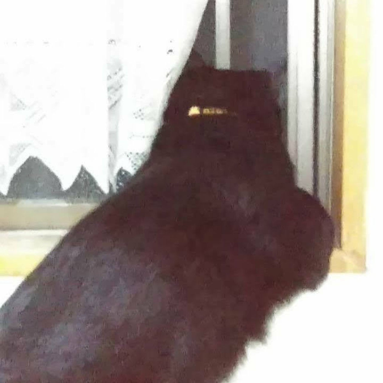 ꐕ 𝙸 𝚂𝙰 𝙼𝙸 ꐕ