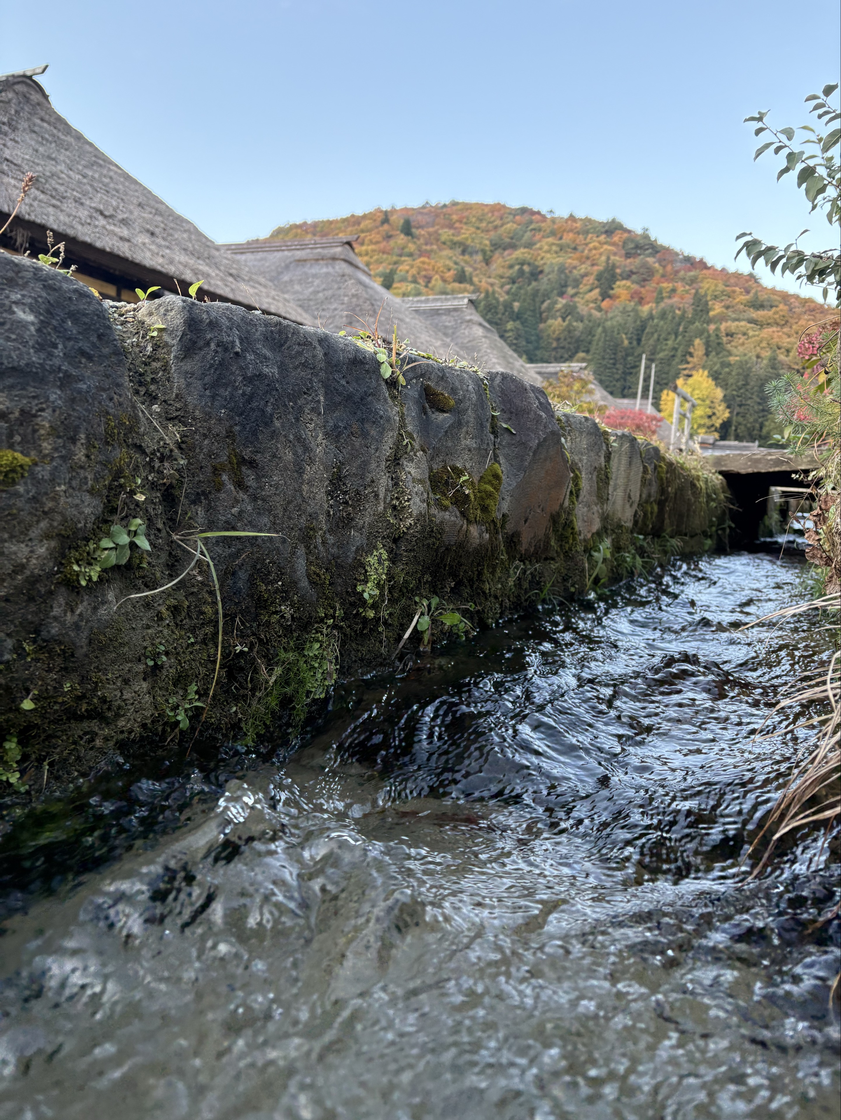 わっく𓏲❁⋆⁺