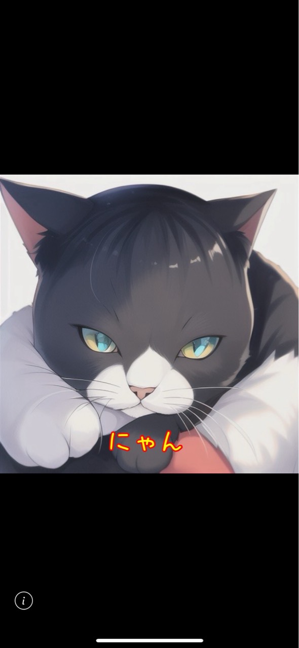 にゃんᗢᘏᓗ💕