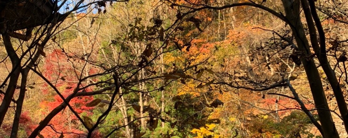 やそんのおはなし 疾風伝