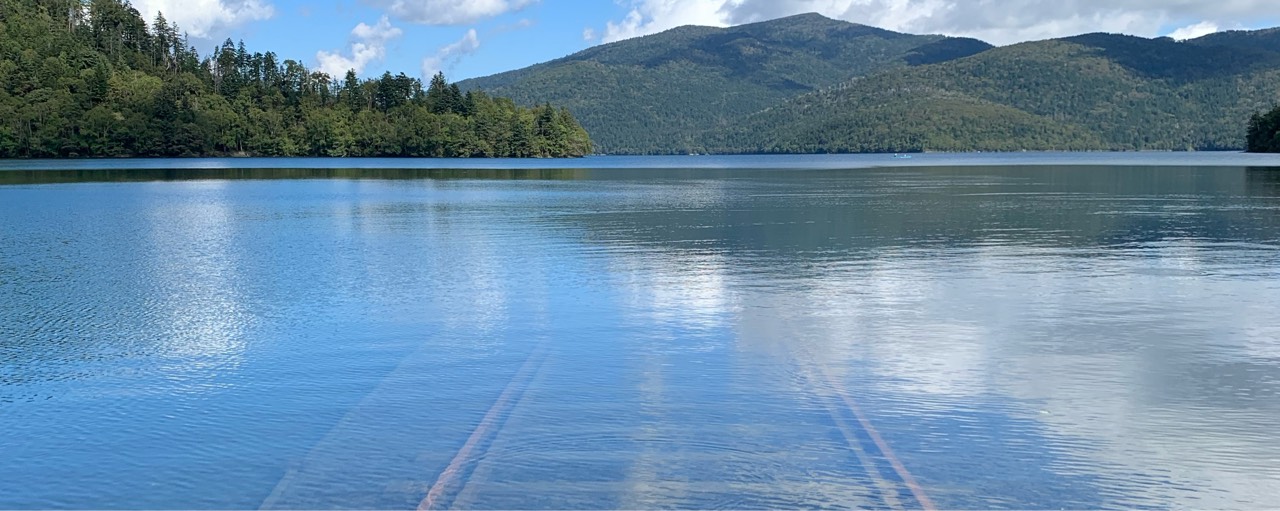 ㅤㅤうんかいㅤㅤ