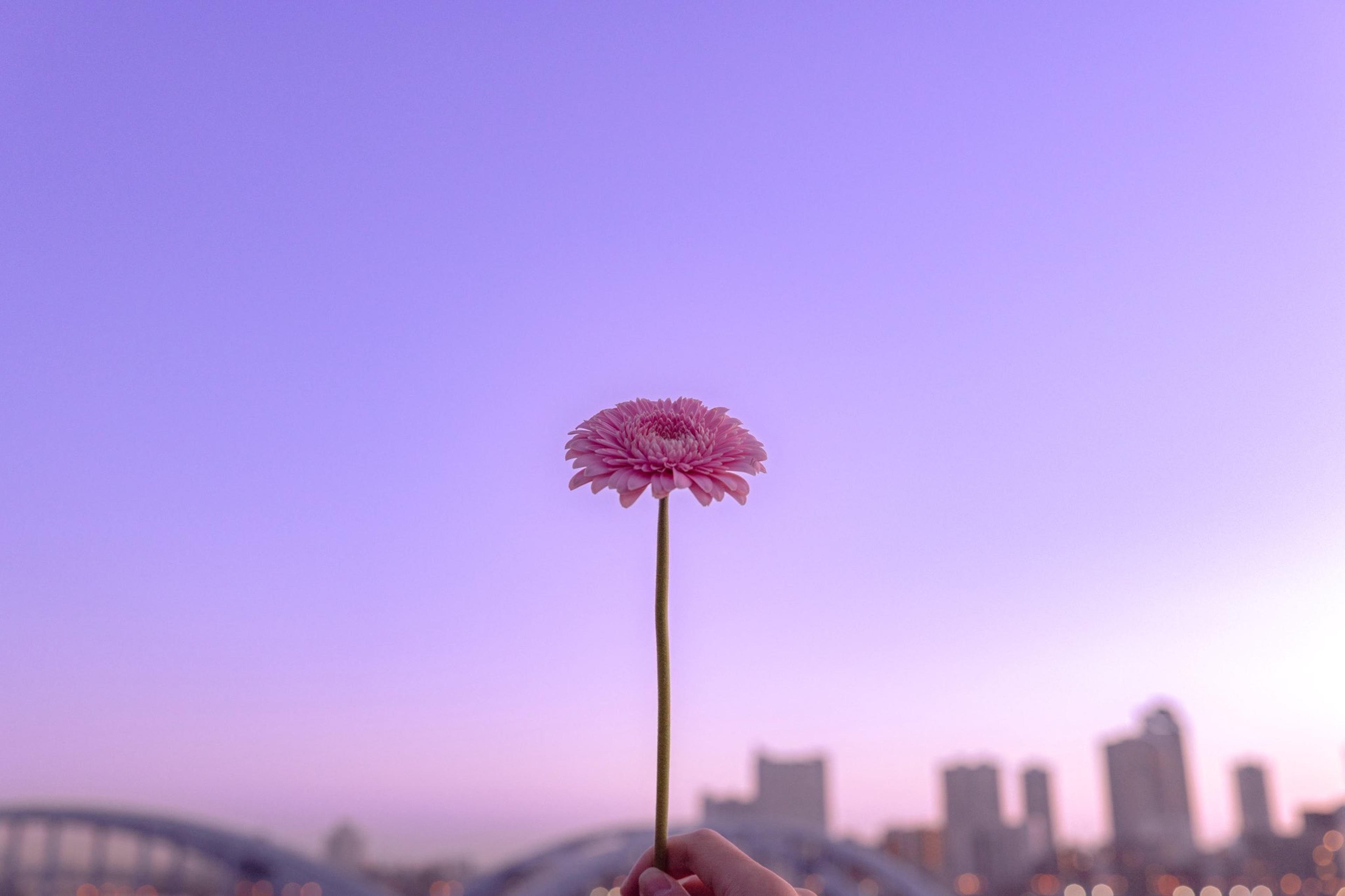 ゆた