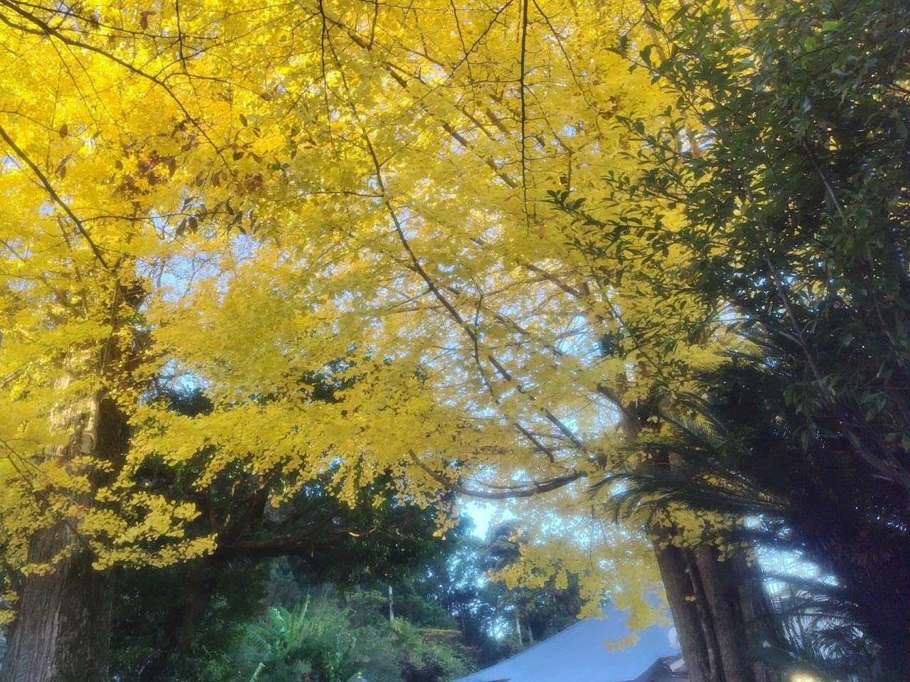 YAMADA100%☾*ღ👻👒