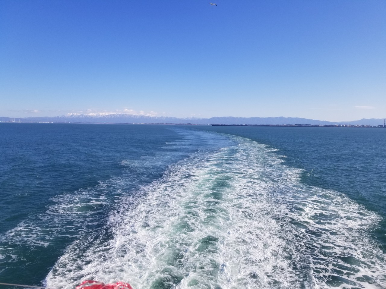 たぁやん🍷𖤐彡☼☆